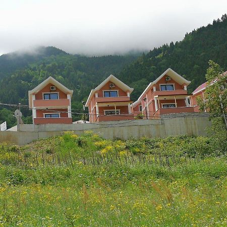 Hamsikoy Hotel Bagian luar foto