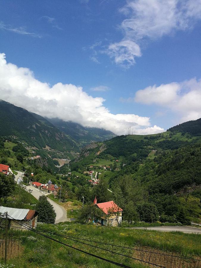 Hamsikoy Hotel Bagian luar foto