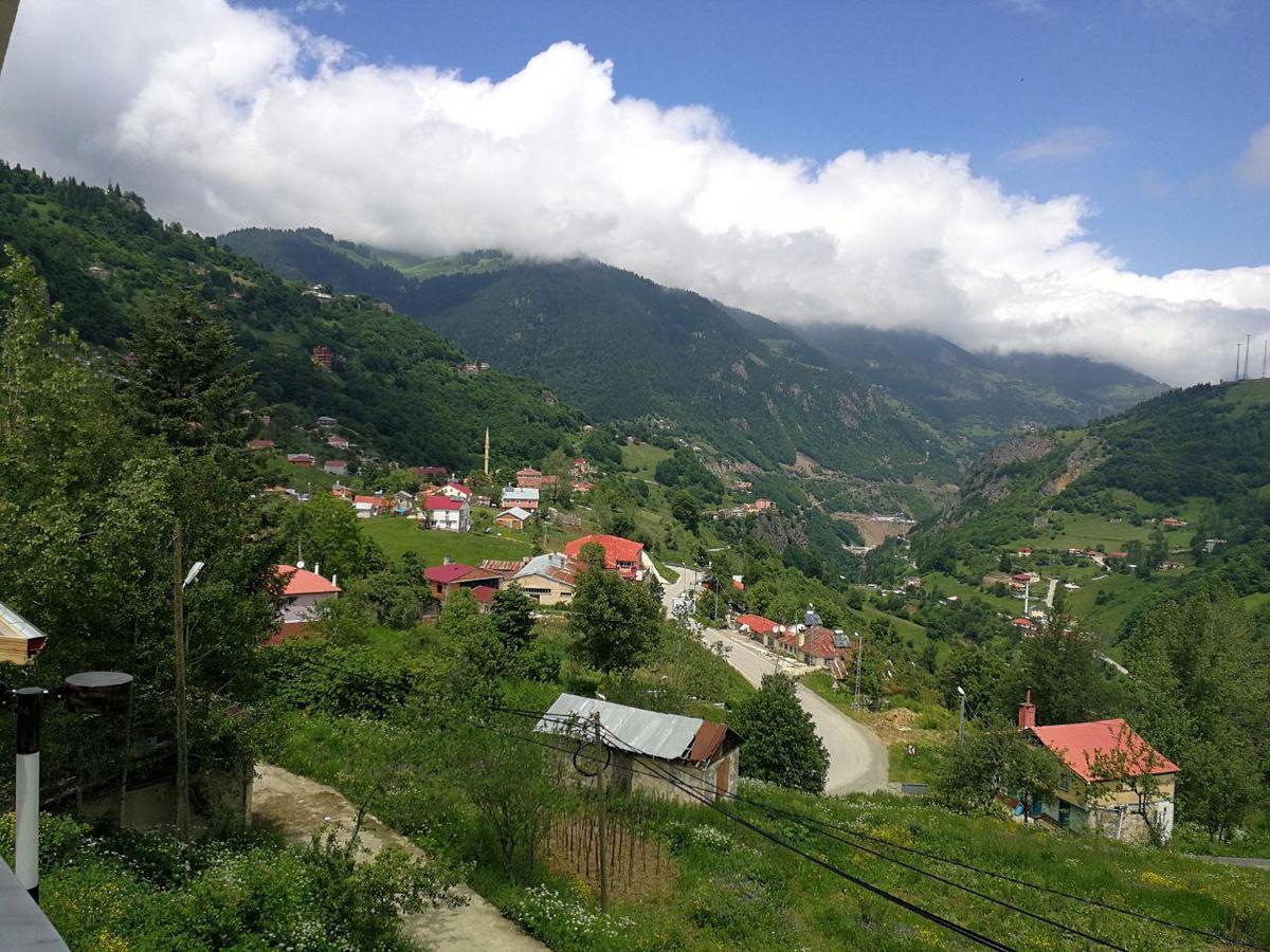 Hamsikoy Hotel Bagian luar foto
